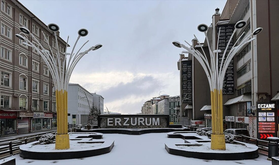 Erzurum, Ardahan, Ağrı ve Tunceli'de etkili olan kar, il merkezlerini