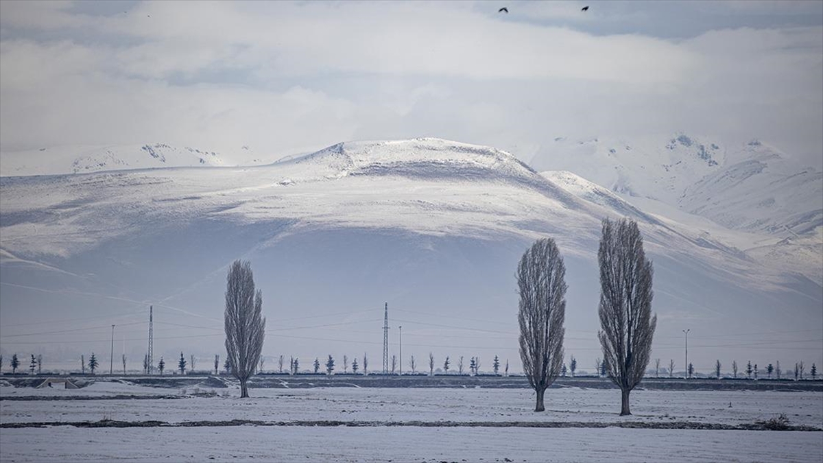 Erzurum, Ardahan, Tunceli ve Kars'ta dondurucu soğuklar nedeniyle ağaçları kırağı