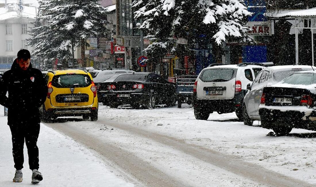 Erzurum, Kars, Ardahan, Ağrı ve Tunceli'de dondurucu soğuk hava etkili