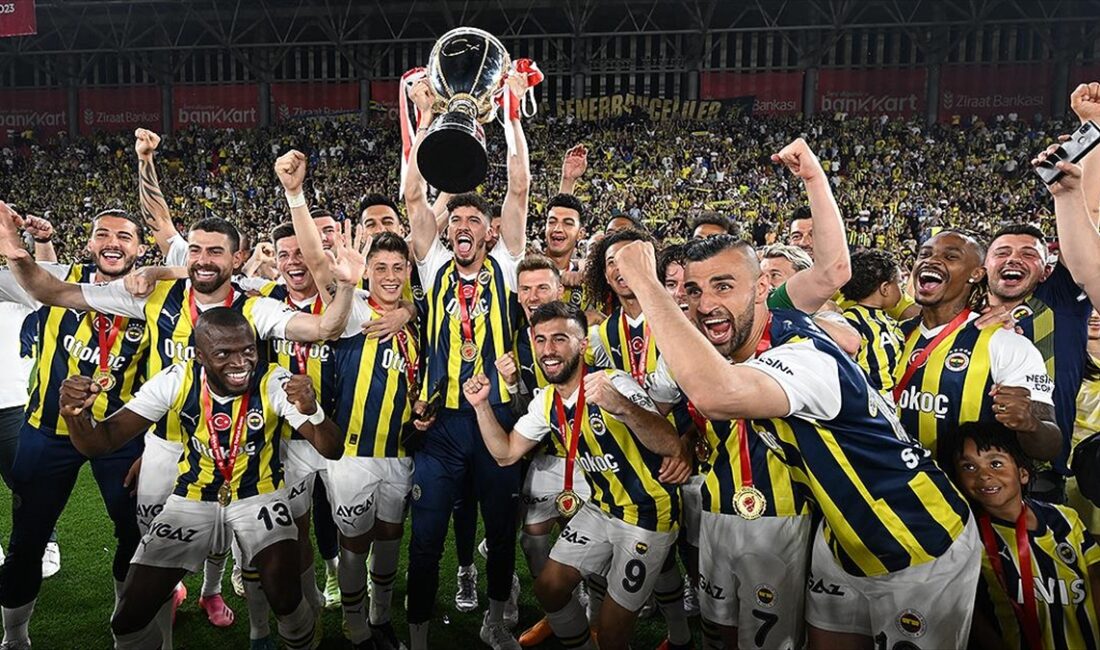 Son olarak 2014 Ağustos'ta TFF Süper Kupa'nın sahibi olan sarı-lacivertli