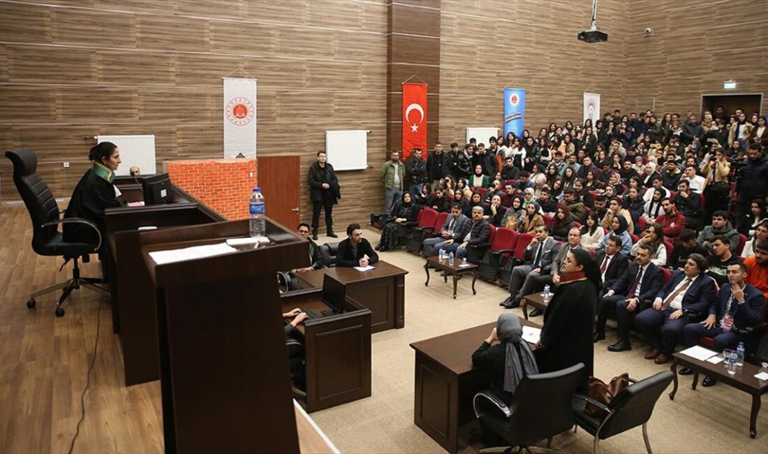 Cumhurbaşkanlığı İnsan Kaynakları Ofisi koordinatörlüğünde ve Dicle Üniversitesi (DÜ) ev