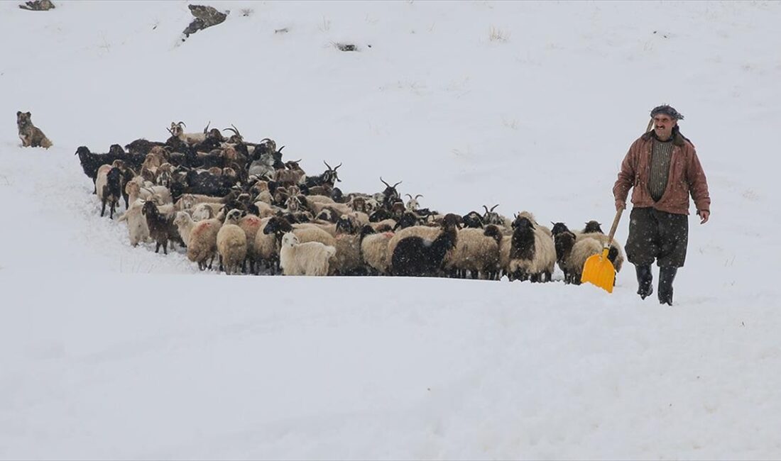 Son günlerde etkili olan kar nedeniyle çetin kış koşullarının yaşandığı