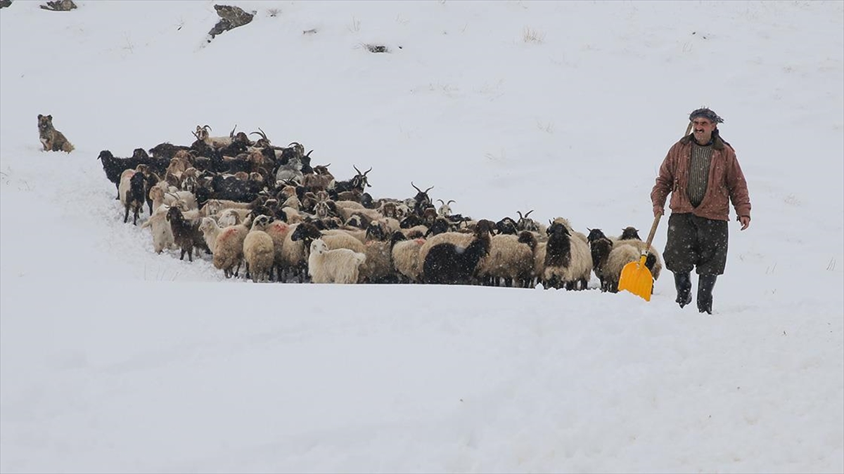Son günlerde etkili olan kar nedeniyle çetin kış koşullarının yaşandığı