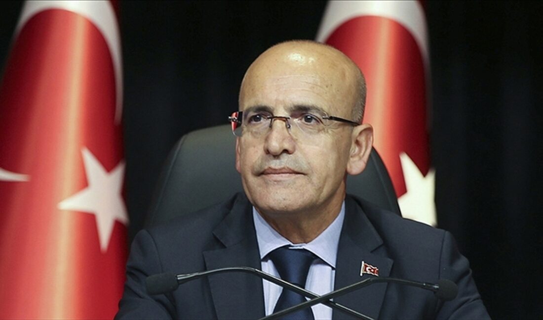 Hazine ve Maliye Bakanı Mehmet Şimşek, vergi kayıp ve kaçaklarını