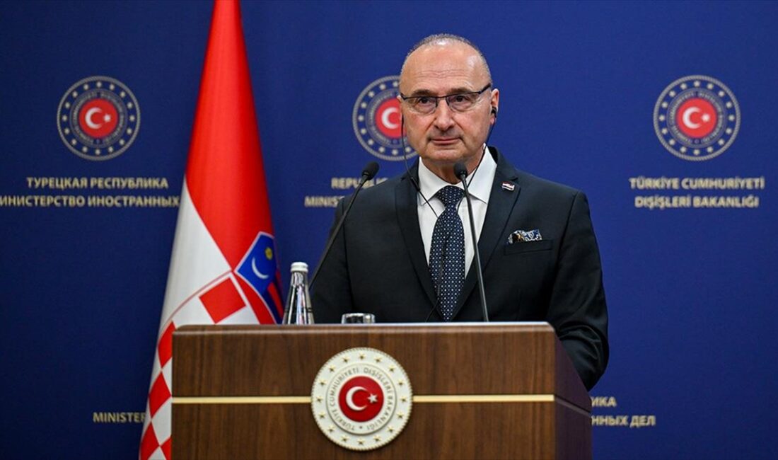 Hırvatistan Dış ve Avrupa İşleri Bakanı Gordan Grlic Radman, Türkiye'nin