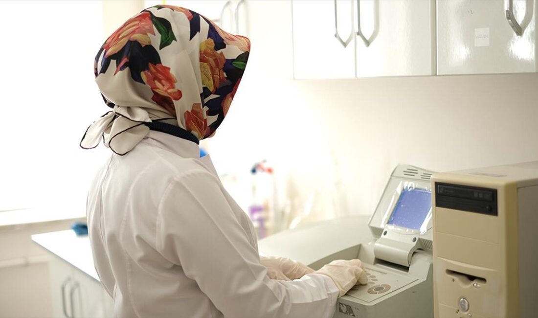 Hitit Üniversitesi Sağlık Hizmetleri Meslek Yüksekokulunca yürütülen proje kapsamında geliştirilecek