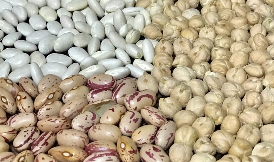 Ege Hububat Bakliyat Yağlı Tohumlar ve Mamulleri İhracatçıları Birliği Başkanı