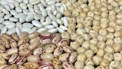 Ege Hububat Bakliyat Yağlı Tohumlar ve Mamulleri İhracatçıları Birliği Başkanı