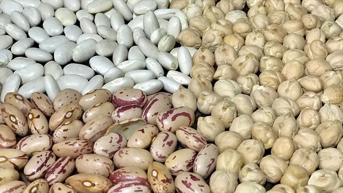 Ege Hububat Bakliyat Yağlı Tohumlar ve Mamulleri İhracatçıları Birliği Başkanı