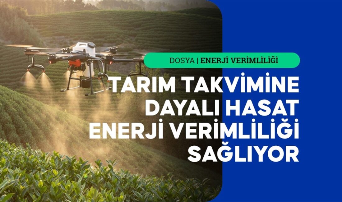 Uzmanlar, ileri tarım teknolojileri ve yenilenebilir enerjinin kullanımının artmasıyla tarımda