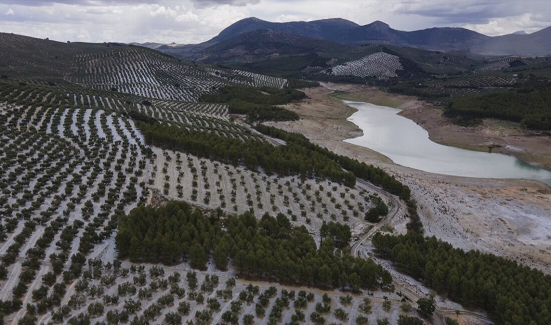 İspanya'da kuraklık sorunundan en fazla etkilenen bölgelerden güneydeki Endülüs, 200