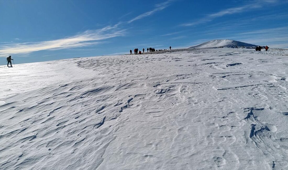 Erzurum, Kars ve Ardahan illerinin sınırlarında uzanan tektonik yapılı 3