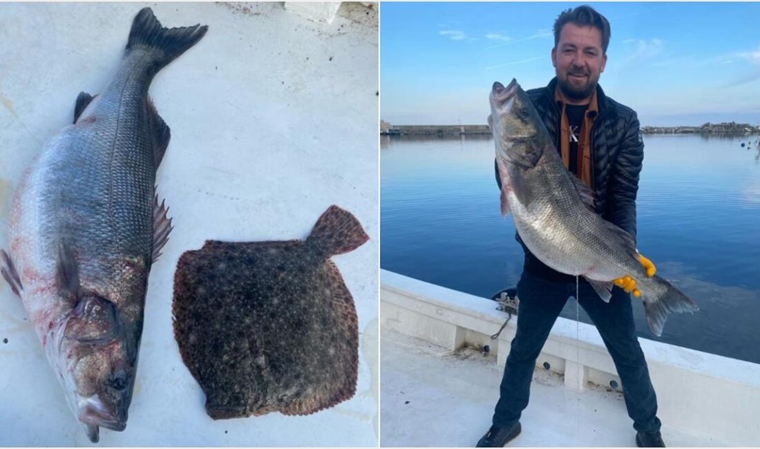 Kastamonulu balıkçının ağına 11 kilogramlık levrek takıldı KASTAMONU (AA) – Şehit Ömer Şenel Balıkçı Barınağı’ndan denize açılan