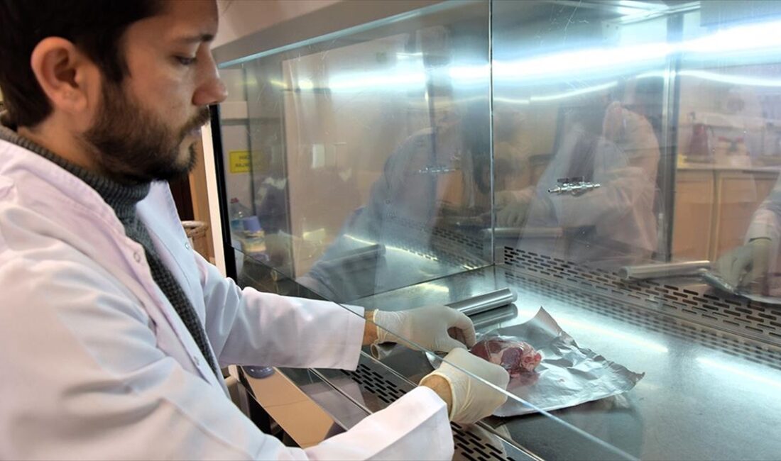 Bilecik Şeyh Edebali Üniversitesinde bir öğrencinin doktora tezi kapsamında, kalp
