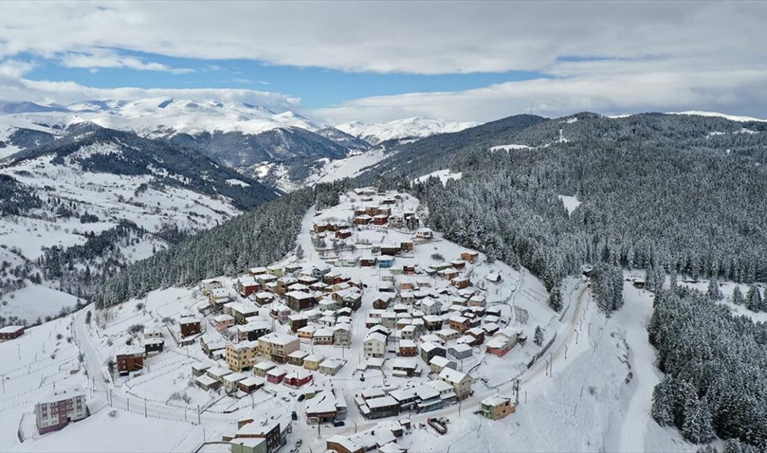 Kışın beyaza bürünen ormanlarının görüntüsüyle ilgi gören Giresun'un Kümbet Yaylası,