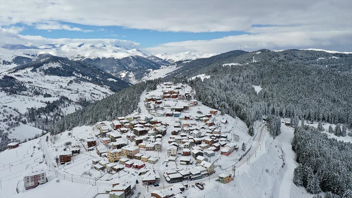 Kışın beyaza bürünen ormanlarının görüntüsüyle ilgi gören Giresun'un Kümbet Yaylası,