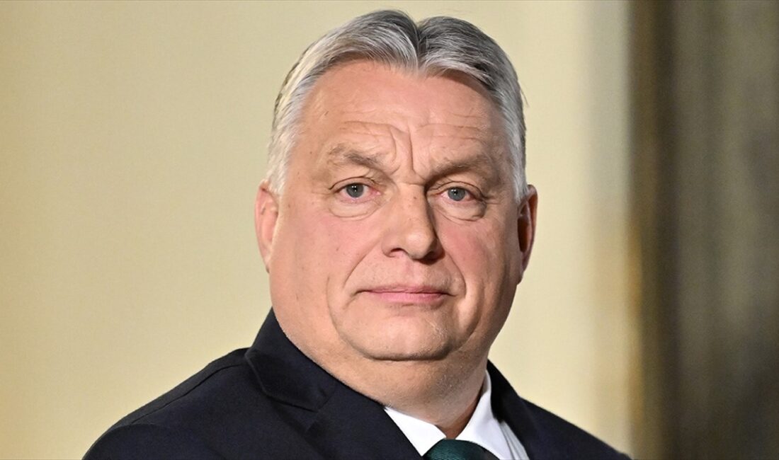 Macaristan Başbakanı Viktor Orban, NATO Genel Sekreteri Jens Stoltenberg ile