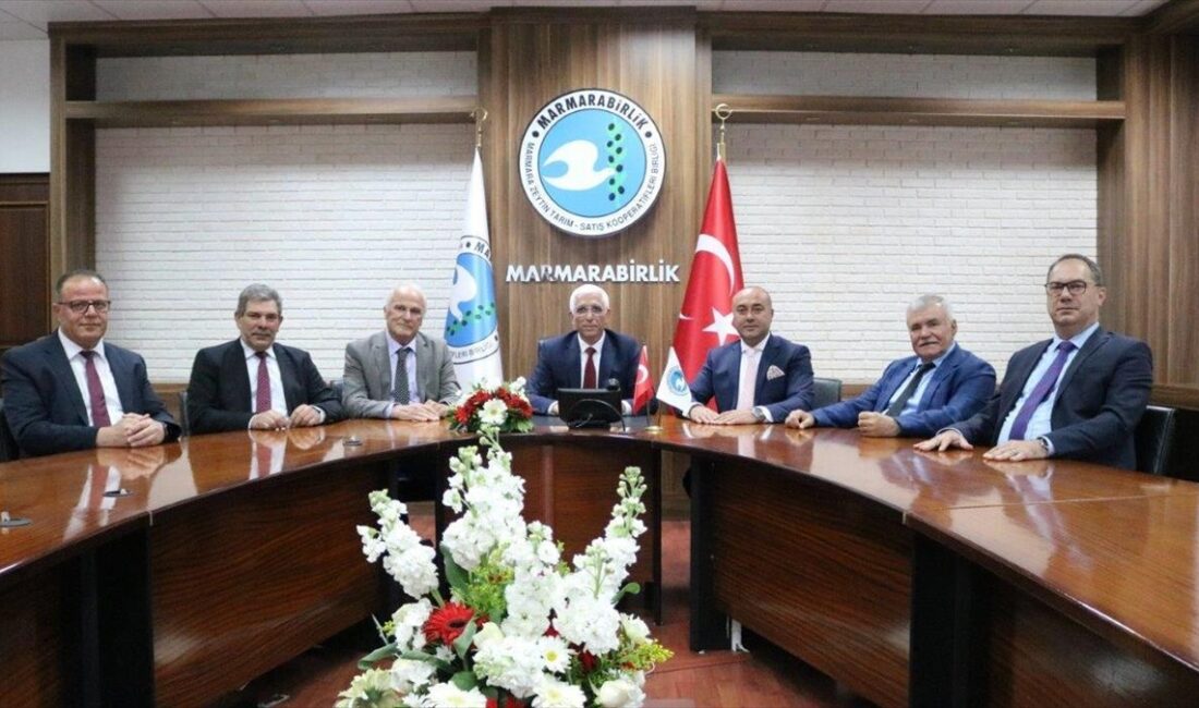 Marmara Zeytin Tarım Satış Kooperatifleri Birliği (Marmarabirlik), ortaklarına yarın 650