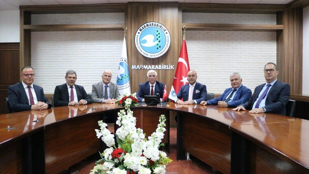 Marmara Zeytin Tarım Satış Kooperatifleri Birliği (Marmarabirlik), ortaklarına yarın 650