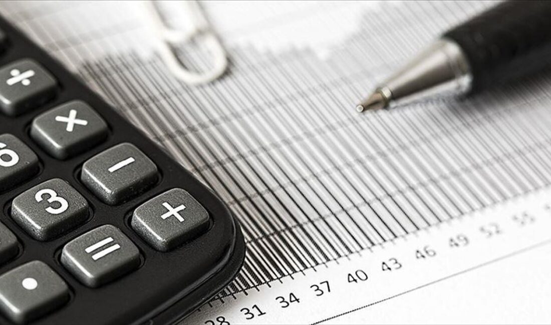 Merkezi Kayıt Kuruluşu (MKK), geçen yıl 56 şirketin halka arz