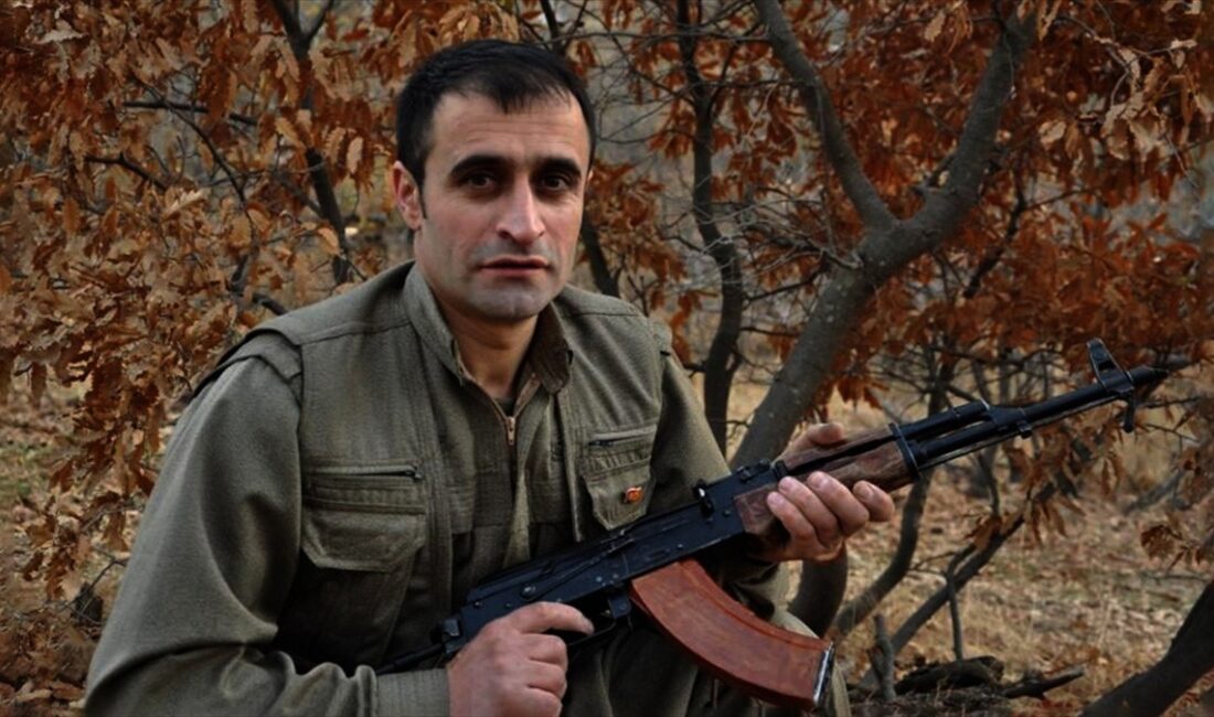 Milli İstihbarat Teşkilatı, terör örgütü PKK/KCK'ya Avrupa'dan eleman temin eden