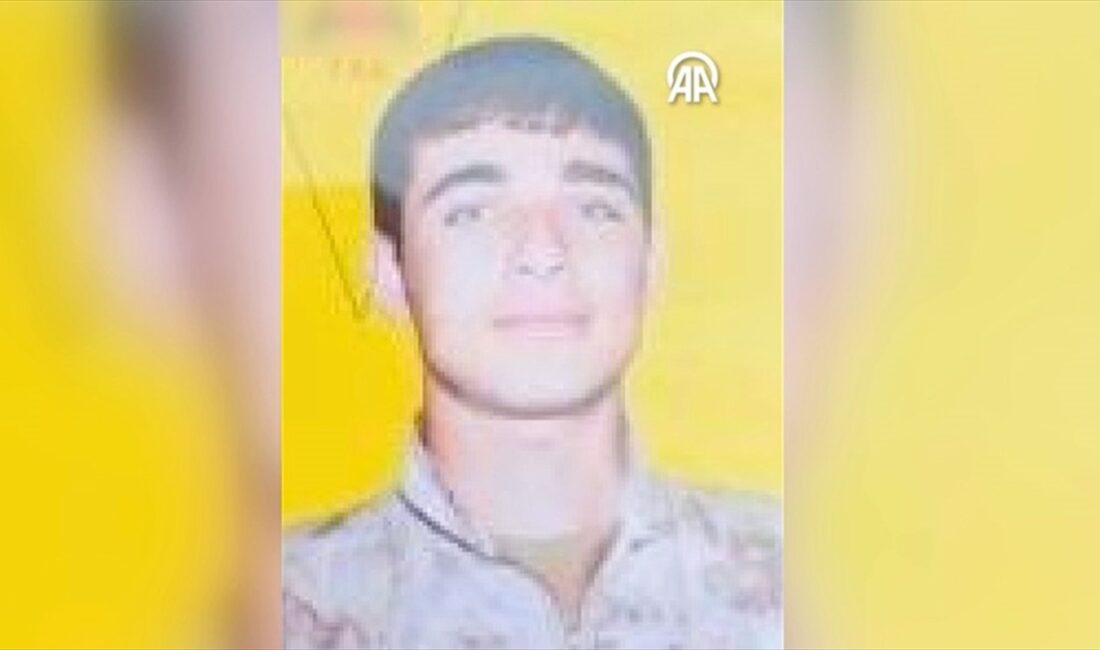 Milli İstihbarat Teşkilatı (MİT), Türkiye'ye yönelik eylem planları yaptığı tespit