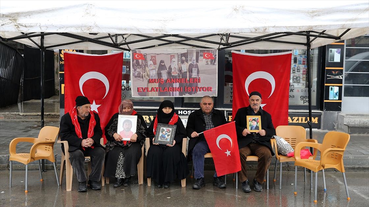 Muş'ta çocuklarının, terör örgütü PKK tarafından dağa götürülmesinden HDP'yi sorumlu