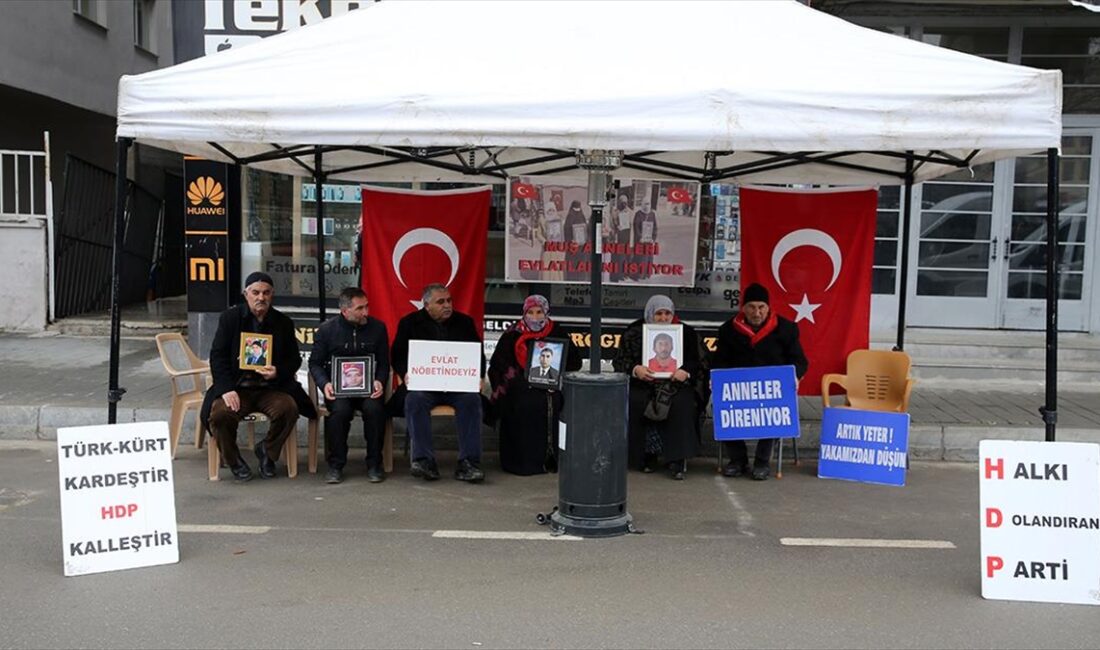 Muş'ta çocuklarının, terör örgütü PKK tarafından dağa götürülmesinden HDP'yi sorumlu