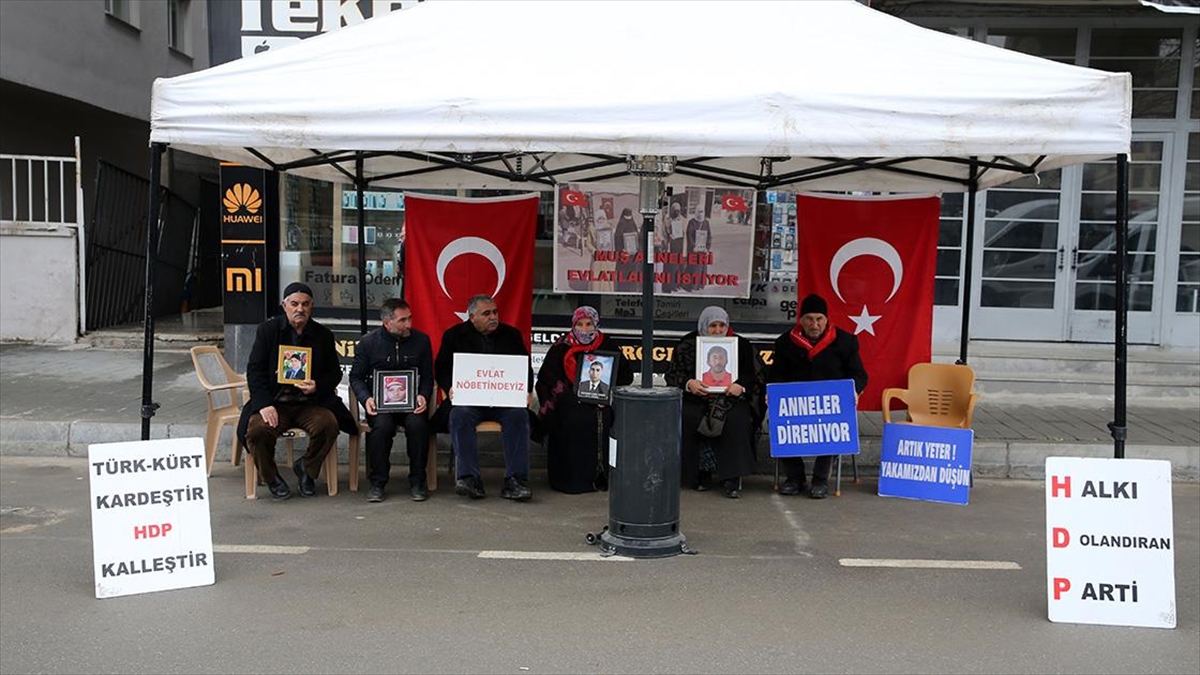 Muş'ta çocuklarının, terör örgütü PKK tarafından dağa götürülmesinden HDP'yi sorumlu