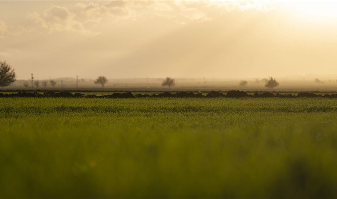 Kahramanmaraş merkezli 6 Şubat'taki depremlerden ağır etkilenen Gaziantep'in Nurdağı ve