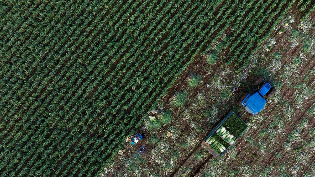 Tarım sektörü, geçen yıl 35 milyar doları aşan dış satımla