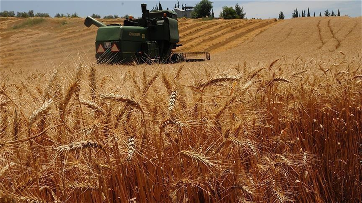 Tarım ve Orman Bakanı İbrahim Yumaklı, 2023'te Tarım Sigortaları Havuzu