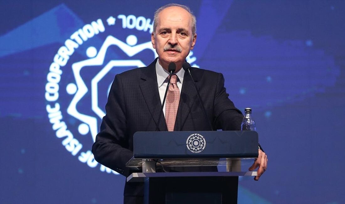 İSTANBUL (AA) – “Haklı Filistin Davası: Kalıcı ve Adil Barışın