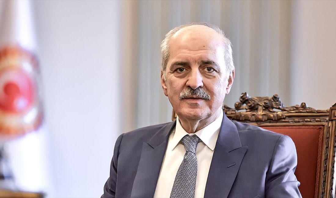 TBMM Başkanı Numan Kurtulmuş, Misakımilli anlayışının "mavi vatan, siber vatan,