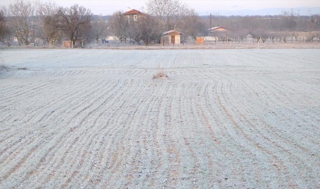 Edirne, Kırklareli ve Tekirdağ'da etkili olan kar yağışı yerini soğuk