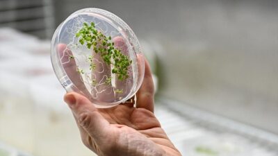 İlk Türk astronot Alper Gezeravcı'nın, Uluslararası Uzay İstasyonu'ndaki ilk deneyini