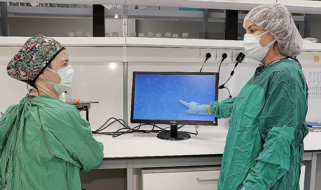 Kocaeli Üniversitesi ile Çin'deki partnerler ortaklığında hazırlanan proje kapsamında geliştirilen