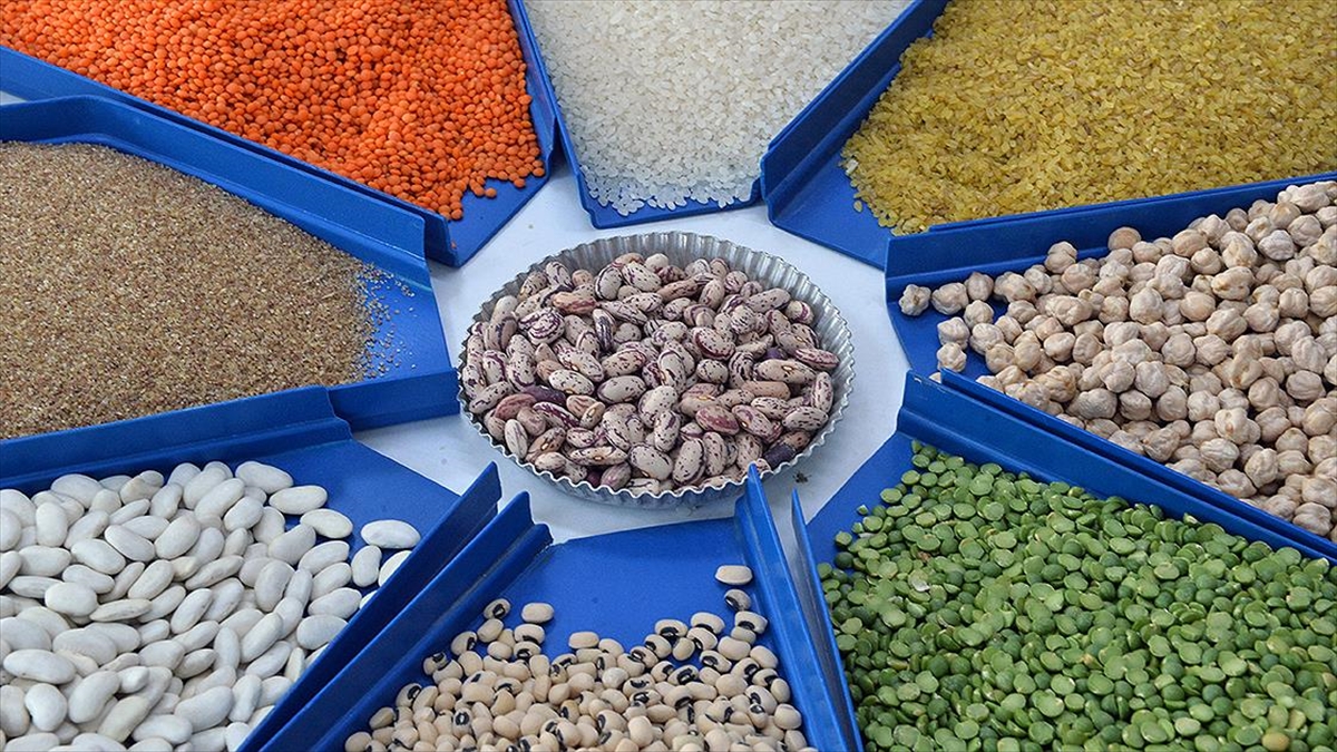 Türk hububat, bakliyat, yağlı tohumlar ve mamulleri sektörü, 2023 yılında