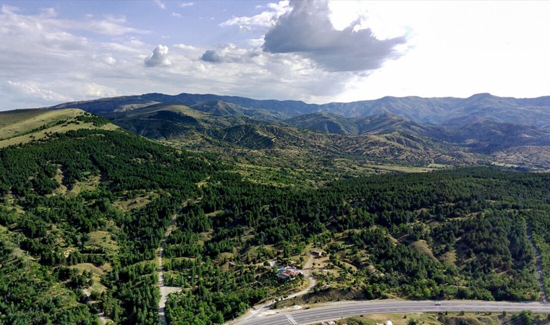 TMMOB Orman Mühendisleri Odası Genel Başkanı Hasan Türkyılmaz, Türkiye'nin 2023'teki