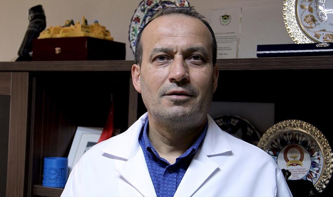 Tekirdağ Namık Kemal Üniversitesi (NKÜ) Gıda Mühendisliği Bölüm Başkanı Prof.