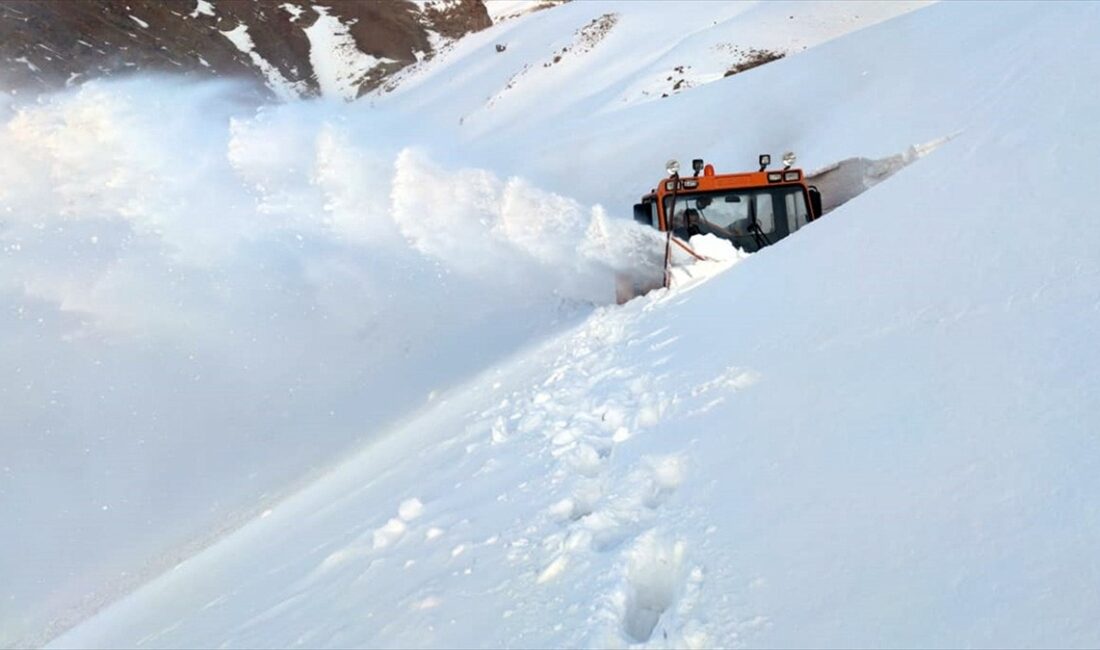 Van, Hakkari ve Muş'un bazı ilçelerinde ekipler, metrelerce karın bulunduğu
