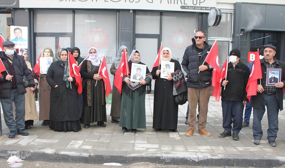 Van'da çocukları dağa kaçırılan aileler, Halkların Eşitlik ve Demokrasi Partisi