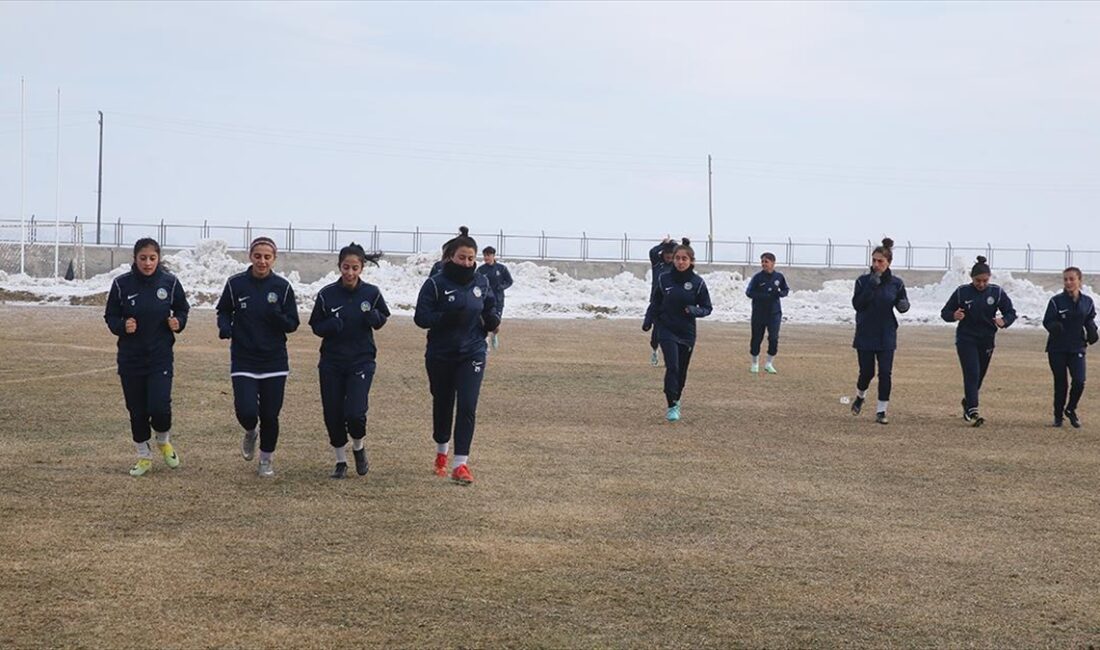 Türkiye Futbol Federasyonu Kadınlar 2. Ligi D Grubu temsilcisi Yüksekova