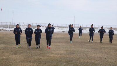 Türkiye Futbol Federasyonu Kadınlar 2. Ligi D Grubu temsilcisi Yüksekova