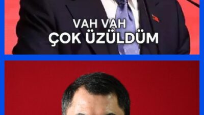 “Vah vah ya, çok üzüldüm”