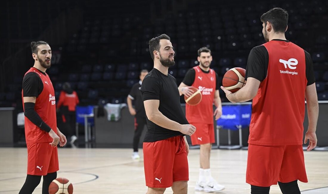 A Milli Erkek Basketbol Takımı, 2025 Avrupa Basketbol Şampiyonası Elemeleri