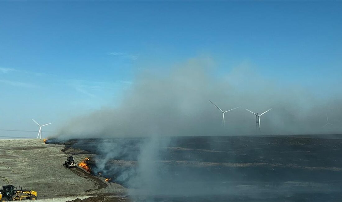 ABD'nin Texas eyaletinin kuzeyindeki Panhandle kasabasında 26 Şubat'ta başlayan orman