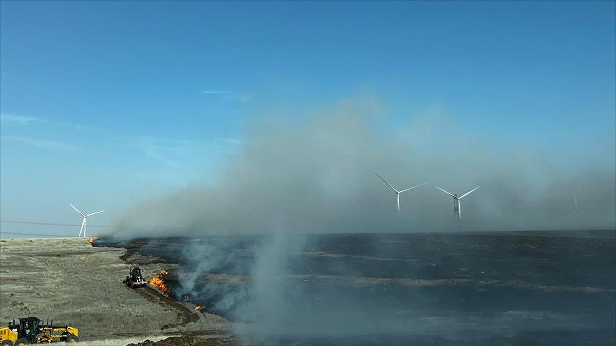 ABD'nin Texas eyaletinin kuzeyindeki Panhandle kasabasında 26 Şubat'ta başlayan orman