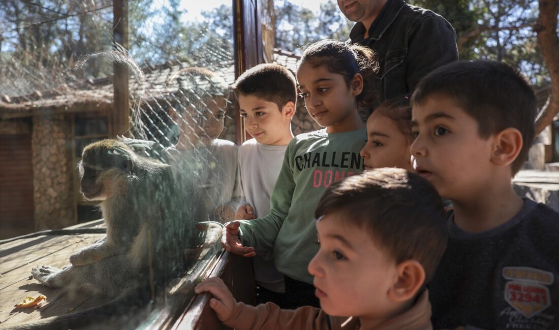 ANTALYA (AA) – Antalya Doğal Yaşam Parkı'nda yarıyıl tatili dolayısıyla