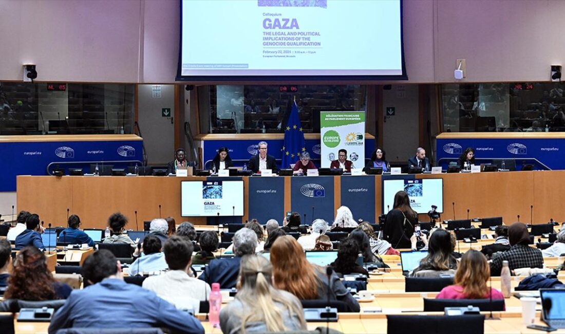 Avrupa Parlamentosunda (AP) Yeşiller Grubunun ev sahipliğinde Uluslararası İnsan Hakları